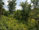 ПРОДАДЕН!Парцел в местност Зеленика 