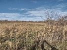 Парцел за строеж на къщи, м-ст Патрабана , Варна 