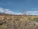 Парцел за строеж на къщи, м-ст Патрабана , Варна 